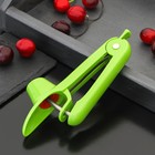 Удалитель косточек из вишни Доляна «Эдда», h=20 см, зелёный - Фото 1