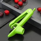 Удалитель косточек из вишни Доляна «Эдда», h=20 см, зелёный - Фото 2