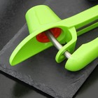 Удалитель косточек из вишни Доляна «Эдда», h=20 см, зелёный - Фото 3