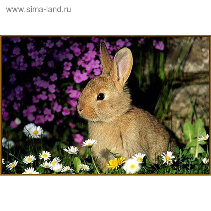 Алмазная мозаика "Кролик в ромашках", 20 цветов - Фото 1