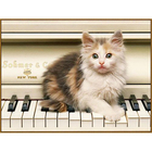 Алмазная мозаика "Котёнок музыкант", 18 цветов - Фото 1