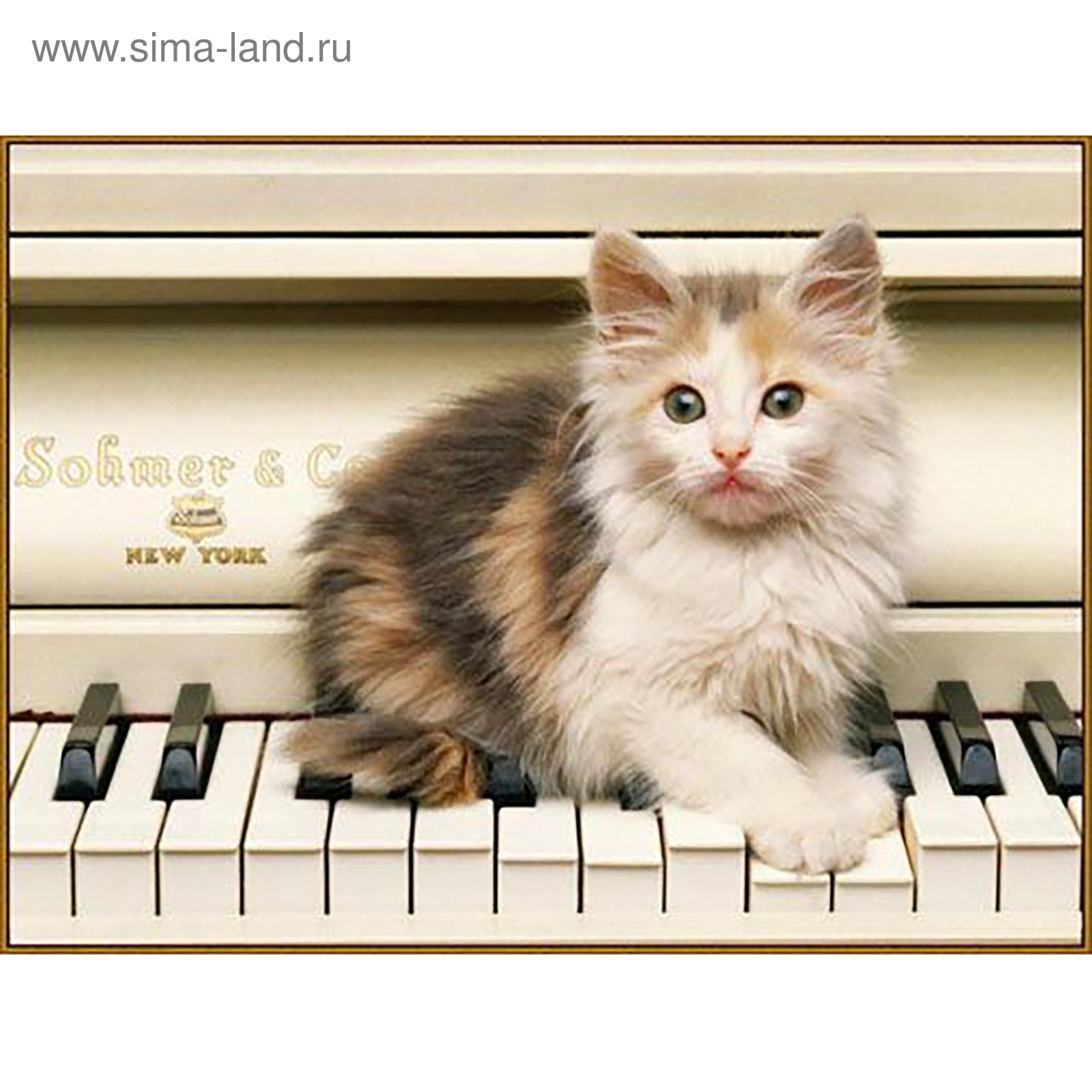 Скачать песню кошка