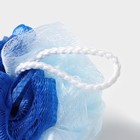 Мочалка для тела Доляна, 10×10×9 см, двухцветная, 40 г, цвет МИКС - Фото 3