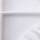 Форма для муссовых десертов и выпечки двойная Доляна «Зебрано», 30,5×18 см, цвет белый - Фото 6