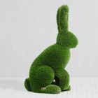 Топиар фигура "Кролик папа" - Фото 2