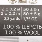 Шерсть для валяния 100% полутонкая шерсть 50гр (439 малиновый) - Фото 4