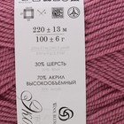 Пряжа "Народная" 30% шерсть, 70% акрил объёмный 220м/100гр (266 ликёр) - Фото 3