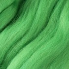 Шерсть для валяния 100% тонкая шерсть 50гр (434 зелёный) - фото 9236238