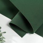 Фоамиран иранский 2 мм  (темно-темно зеленый/182) 60х70 см - фото 320346049