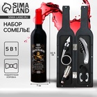 Подарочный набор для вина «Для ценителей»: 5 предметов - Фото 1