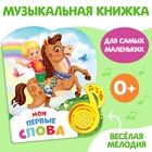 Музыкальная книга «Стихи», 10 стр. - Фото 1