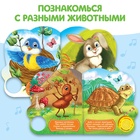 Музыкальная книга «Кто где живёт», 14,4 х 17 см, 10 стр. - Фото 3
