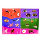 Наклейки «Животные», 12 стр. - Фото 3