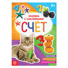 Книга с наклейками «Счёт», 12 стр. - Фото 1
