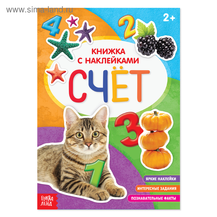 Книга с наклейками «Счёт», 12 стр. - Фото 1