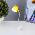 Лампа на прищепке LED "Прожектор" от батареек МИКС 14х4х3,8 см RISALUX - Фото 4