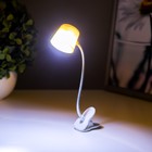 Лампа на прищепке LED "Прожектор" от батареек МИКС 14х4х3,8 см RISALUX - Фото 5