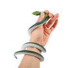 Прикол «Гадюка», резиновая, 70 см, цвет темно-зелёный - Фото 3