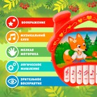 Музыкальная игрушка-пианино «Домик», ионика, 16 весёлых песенок, работает от батареек - Фото 2