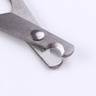 Ножницы-когтерезы большие, отверстие 10 мм, чёрные - Фото 4