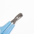 Ножницы-когтерезы с упором для пальца, 12 х 6 х 0,5 см, эконом, микс цветов - Фото 3