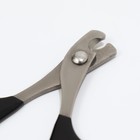 Ножницы-когтерезы с прорезиненными ручками, 8×5×0.3 см, эконом, микс цветов - Фото 2