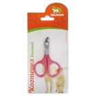 Ножницы-когтерезы с прорезиненными ручками, 8×5×0.3 см, эконом, микс цветов - Фото 4