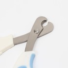 Ножницы-когтерезы средние с упором для пальца, 12 х 4,5 х 1,4 см, эконом, микс цветов - Фото 2