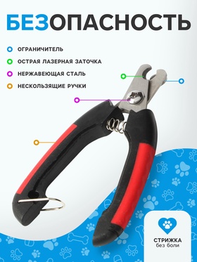 Набор по уходу за когтями: когтерез боковой (отверстие 9 мм) и пилка, микс цветов