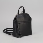 Сумка-рюкзак, отдел на фермуаре, 2 наружных кармана, цвет чёрный - Фото 1