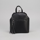 Сумка-рюкзак, отдел на фермуаре, 2 наружных кармана, цвет чёрный - Фото 2