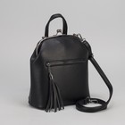 Сумка-рюкзак, отдел на фермуаре, 2 наружных кармана, цвет чёрный - Фото 5