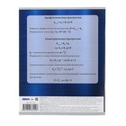 Тетрадь предметная «Алгебра.Формула знаний», 48 листов клетка, обложка мелованная бумага, второй блок - Фото 4