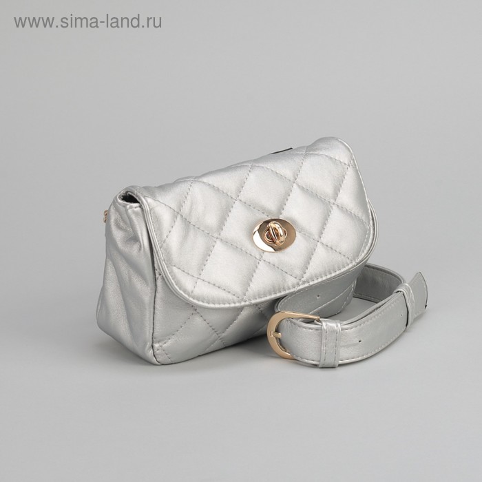 Сумка на пояс L-9801, 15*6*10, отд с перег на молнии, поясной ремень, серебро - Фото 1