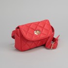 Сумка поясная, отдел с перегородкой на молнии, поясной ремень, цвет красный - Фото 1
