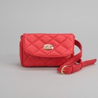 Сумка поясная, отдел с перегородкой на молнии, поясной ремень, цвет красный - Фото 2