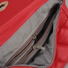 Сумка поясная, отдел с перегородкой на молнии, поясной ремень, цвет красный - Фото 5