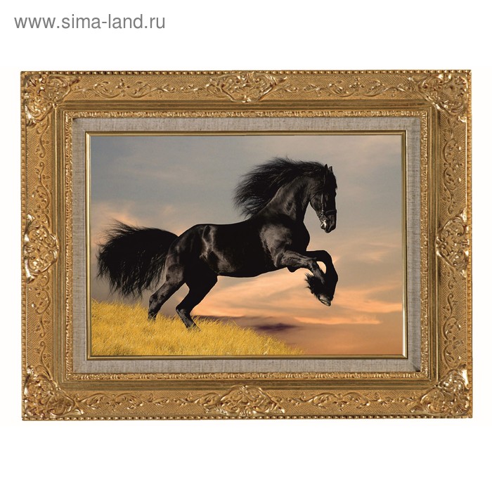 Картина на металле "Вороной конь" 30х40 см - Фото 1