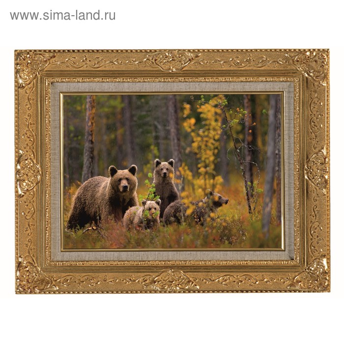 Картина на металле "Семья медведей" 30х40 см - Фото 1