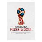 Наклейка на автомобиль кубок 2018 FIFA World Cup Russia™, 14,8 х 21 см - Фото 1
