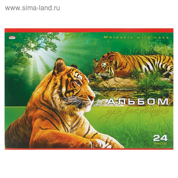 Альбом для рисования А4, 24 листа на скрепке "Дикий тигр на скалах"обложка мелованный картон, блок 100г/м2 - Фото 1