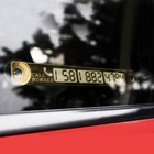 Табличка для номера телефона TORSO, в автомобиль, золотистый, светится в темноте - Фото 3