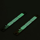 Табличка для номера телефона TORSO, 17×10 см, светится в темноте, хром - Фото 2