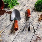 Набор садового инструмента, 2 предмета, длина 32.5 см, деревянные ручки - Фото 2