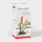 Набор кухонный «Изгиб», керамика, 6 предметов: ножи 7.5 см, 10 см, 13 см, 15 см, овощечистка, подставка, фиолетовый - Фото 9