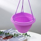 Кашпо пластиковое для цветов подвесное, 750 мл, цвет МИКС - фото 24364332