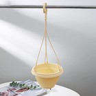 Кашпо пластиковое для цветов подвесное, 750 мл, цвет МИКС - фото 24364335