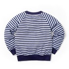 Свитшот для мальчика «Морская», размер 30 (98-104 см), 3-4 года, 100 % хлопок - фото 34984040