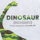 Футболка с длинным рукавом для мальчика "Динозавр", белая, р-р 32 (110-116 см) 5-6 л 100 % хл - Фото 3