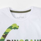 Футболка с длинным рукавом для мальчика "Динозавр", белая, р-р 32 (110-116 см) 5-6 л 100 % хл - Фото 4